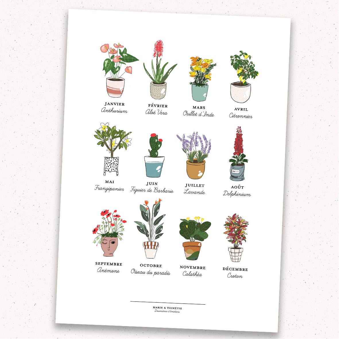 Affiche « Plantes web »