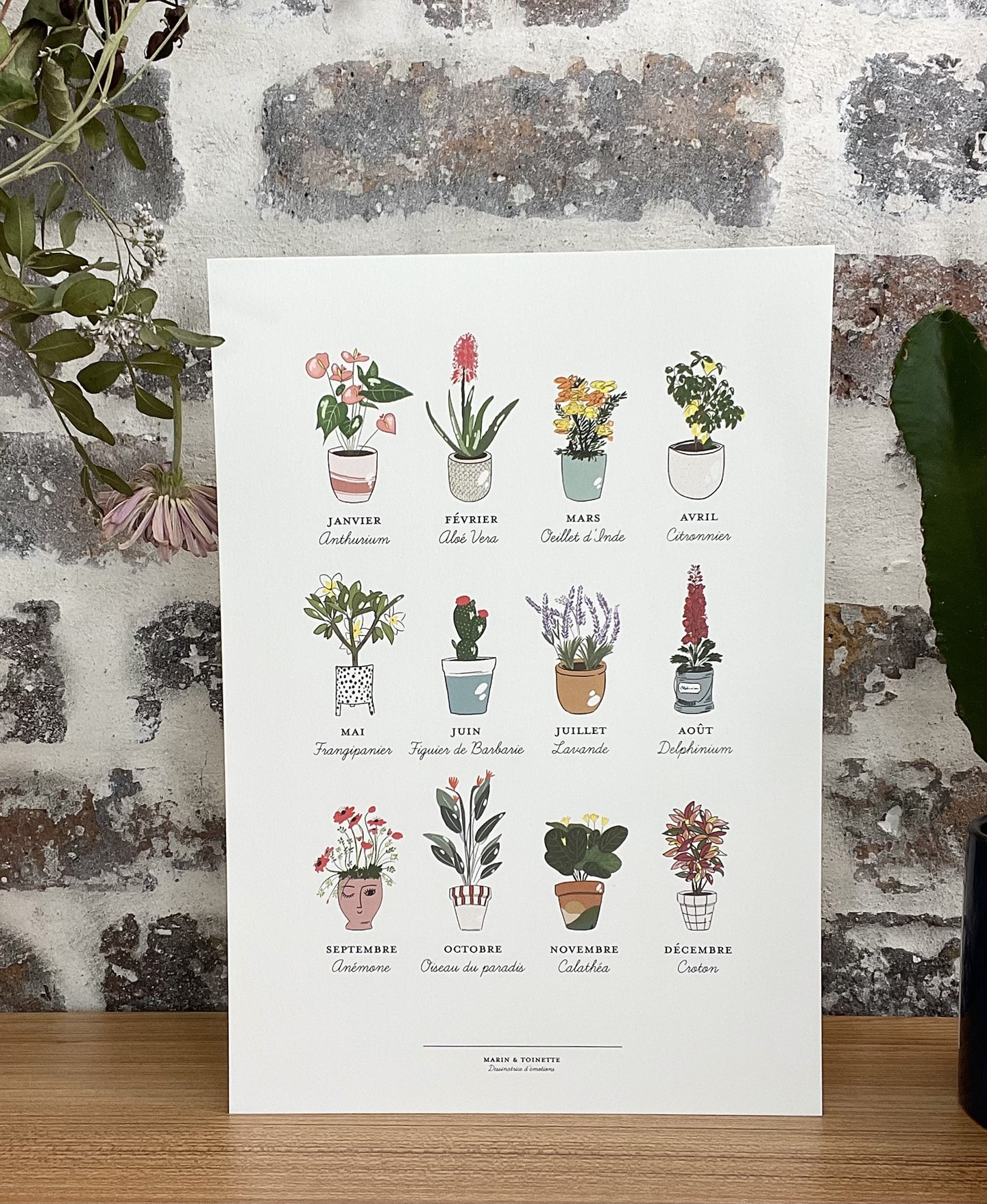 Affiche illustrée de plantes de saisons